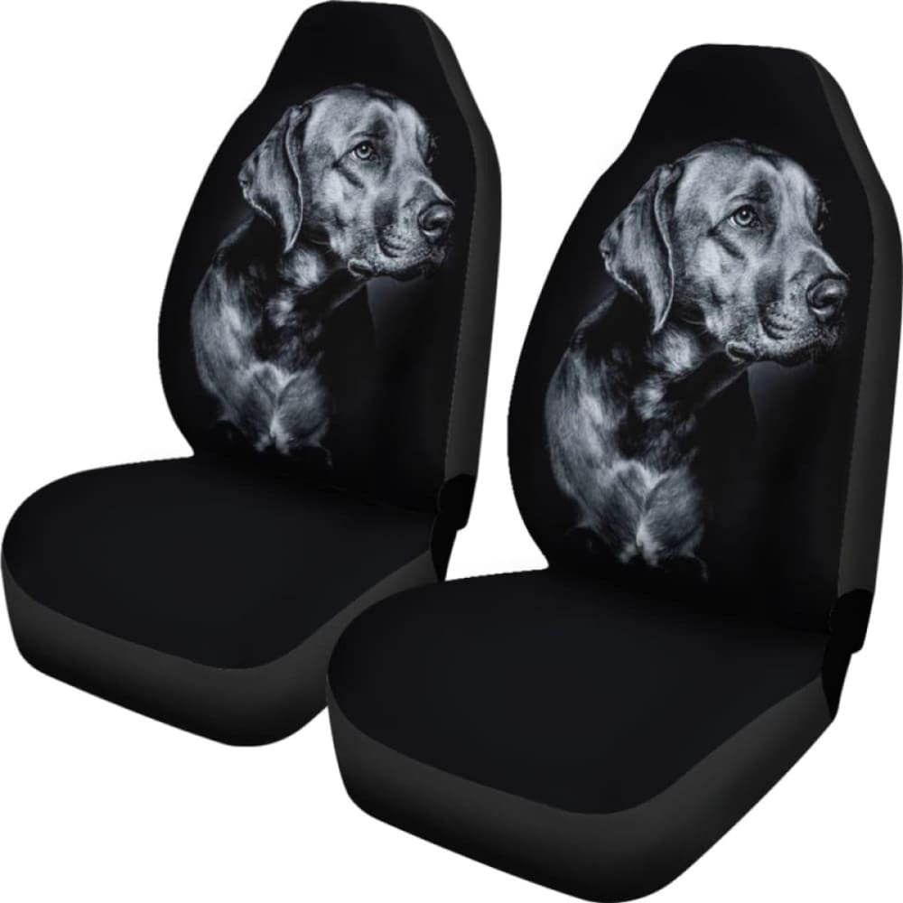 Black Labrador Car Seat Covers | Give Your Car A Makeover!