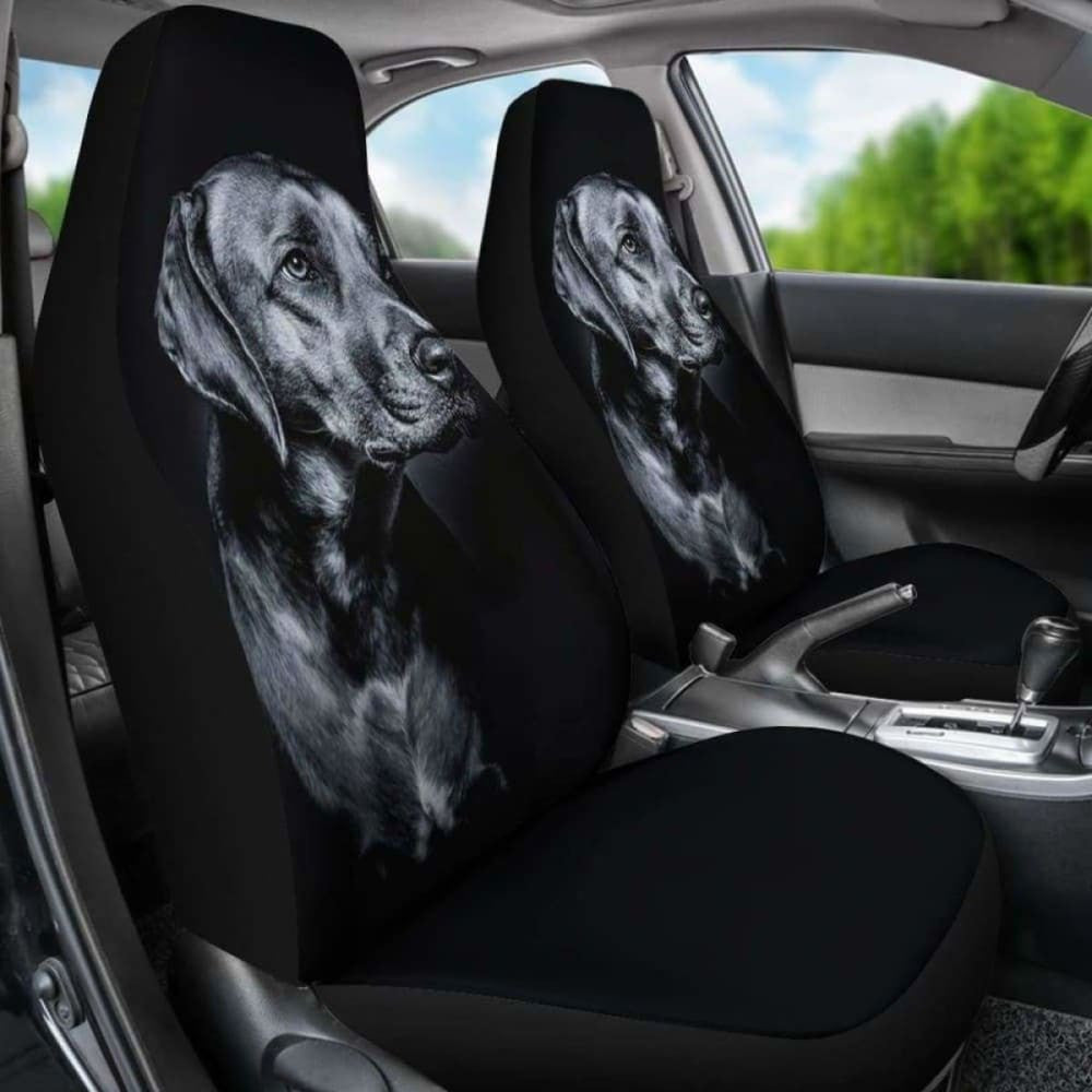 Black Labrador Car Seat Covers | Give Your Car A Makeover!